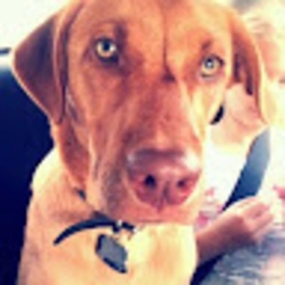 Meet your Posher, Jamie - Picture 1 of 1